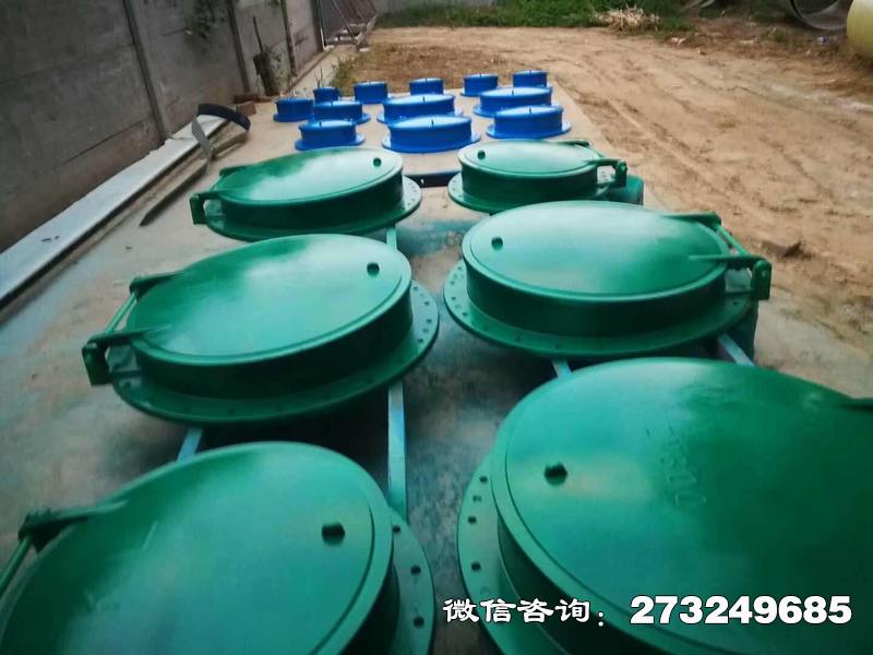 庄河市政管道口玻璃钢拍门