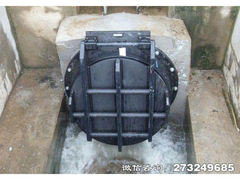 精河县钢制水渠拍门