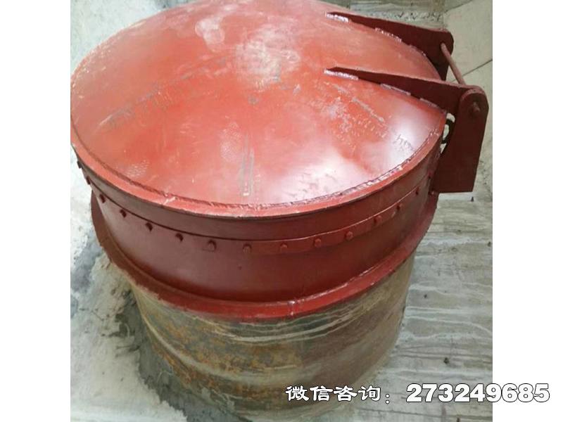 集美水渠逆止阀铸铁拍门
