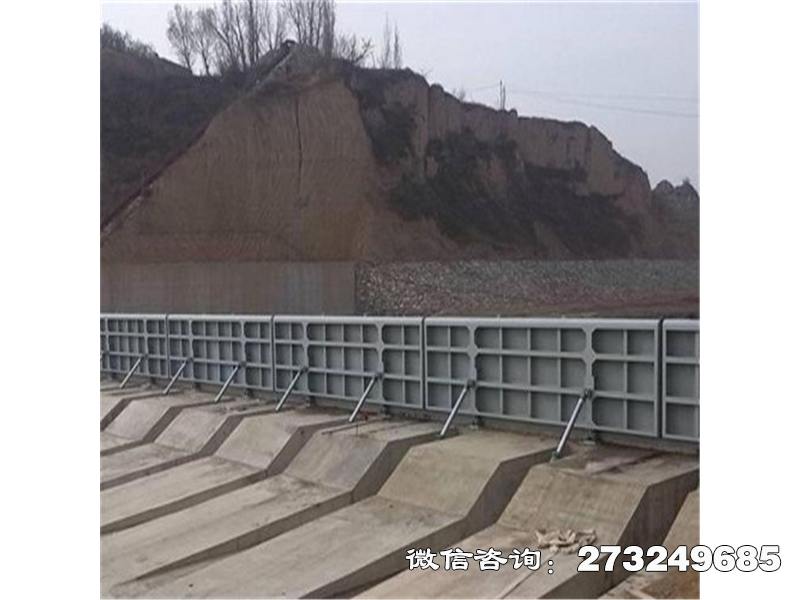轮台县水库液压闸门